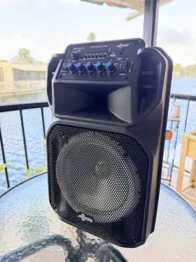 Pabt6038 Axess Portable Pa Speaker With Microphone Led Bluetooth Display