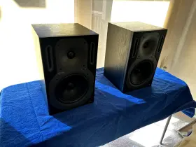 B2031 Behringer Truth High-resolution Active 2-way Reference Studio Monitors 2