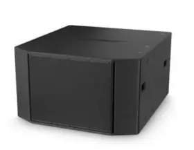 Rms218 Bose Passive Dual Subwoofer