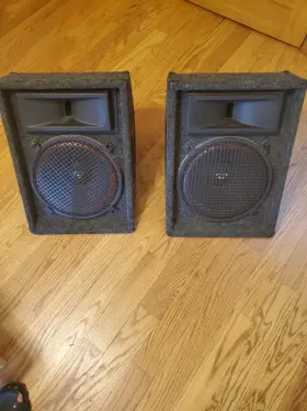 Sm-12b Cerwin-vega 12 Inch 2-way Passive Floor Monitor Speakers