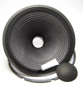 Csaev15l Circuit Shop Audio Recone Kit For Ev - Electro Voice Evm-15l / 15 Inch Speaker Repair