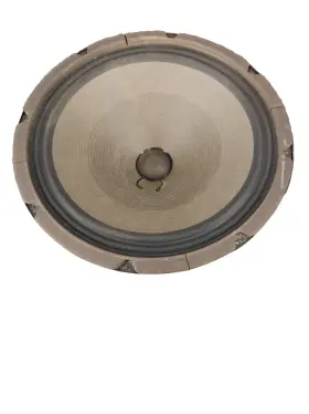 Cr-212 Crate 12 Inch Speaker Replacement Woofer 31543