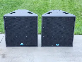 Sm60f Danley Full-range Loudspeaker Pair 800 W Continuous 1600 Program