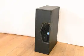Cg01w3t Danley Th28 Compact Passive Subwoofer