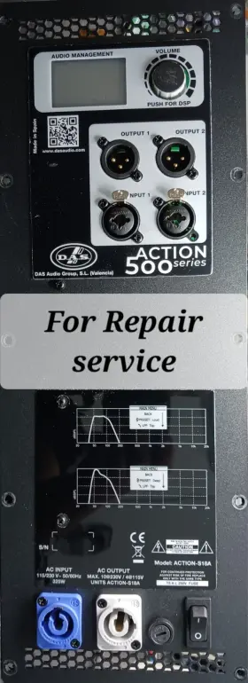 S18a Das Action Amplifier Module Repair Service. Read Description