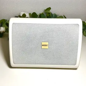 Gb522t-wh Dmx Mood Speaker 70v With Mounts