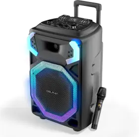 Sp-3115rbt Dolphin High-power 15 Inch Portable Bluetooth Party Speaker With X-bass