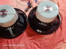 15trx Electro-voice 15 Inch Coaxial Speakers Hi Fi Completely Refabricated At Pmr In