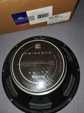 Dv77 Eminence 8 Ohm 12 Inch Speaker
