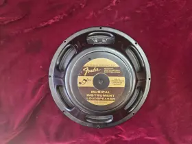 12specialdesign Fender 12 Inch Guitar Amp Musical Instrument Gold Back Label Speaker Eminence