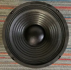 Gw-1038p Goldwood 10 Inch Pa/musical Instrument Speaker