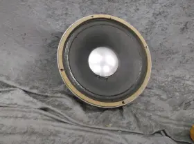 D120-8 Jbl Speakers From Fender Twin