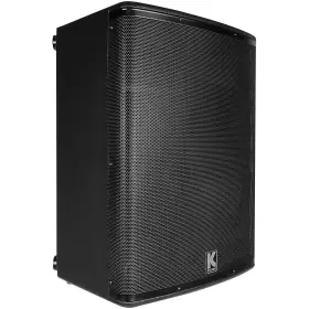 Kpx15 Kustom Pa 197881279196 Passive Monitor Cabinet Rf