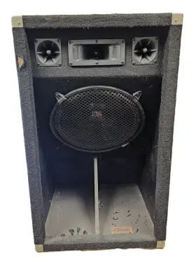 Djss15 Lineartech 15 Inch Monitor Speaker 55266