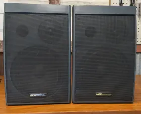 555-6246 Mcm 2x Custom Audio Dj / Pa Speakers - Untested As-is Read