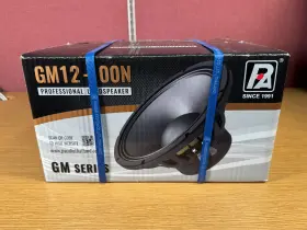 Gm12-100n P.audio P-audio Loudspeaker