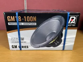Gm18-100n P.audio Loudspeaker