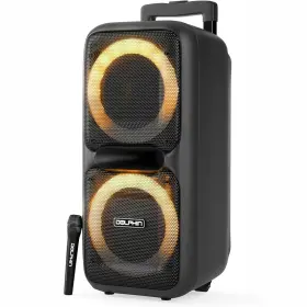 Sp-2080rbt Party Speaker Dolphin Dual 8-inch High Power Portable Bluetooth Wireless Microp