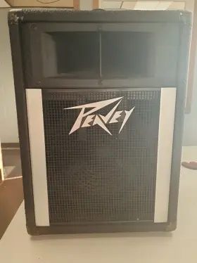 110h Peavey Pro Audio Single 10 Inch Woofer