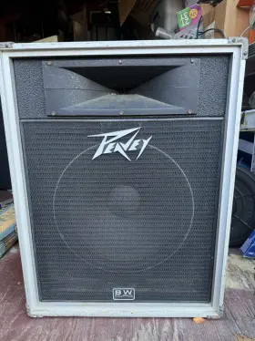 115-intl Peavey Black Widow 18 Inch Speaker