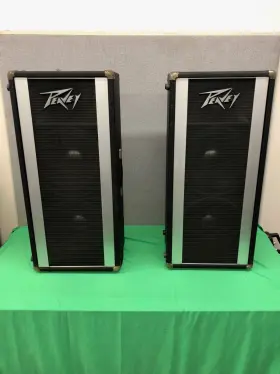 200w Peavey 212h 8 Ohm Passive Pa Speaker Set 2