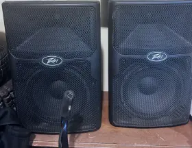 3620380 Peavey Two Pvx 12 Full-range Passive Inch Loudspeakers