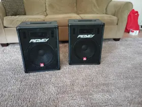 Mp400 Peavey Pa Speakers Pole Mount Or Floor