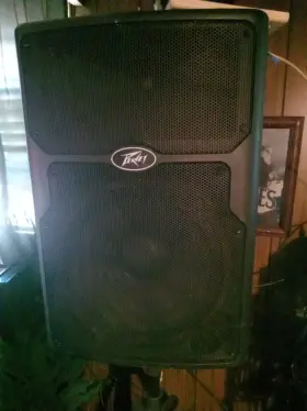 Pvxp15dsp Peavey 800w 15 Inch Speaker - Black