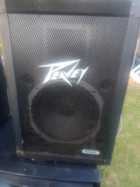 Sp112m Peavey 2 Speakers Floor Monitor 12 Inch Jbl Really Powerful Y2013