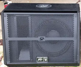 Sp12m Peavey 12 Inch Passive Floor Monitor - Black Widow Equipped New Unused