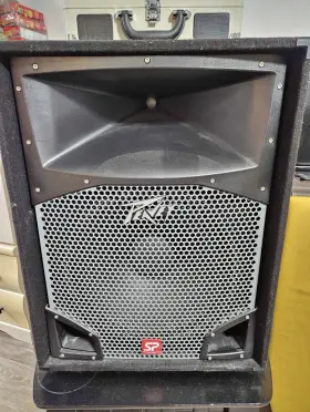 Sp5.5p Peavey Pair - One Works Great Other Only Tweeter Plays