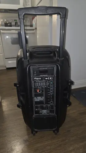 Qs-3615br Ridgeway Portable Pa Speaker System Usb Digital Black