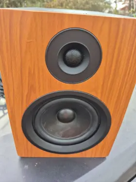 Dpm5c Rockville Speaker