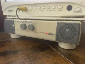 Cs-10 Roland Stereo Micro Monitor Sound Module Style Speaker - Tested And Working