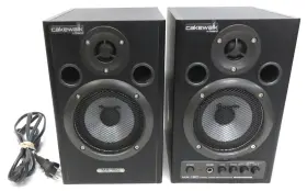 Ms-15dbkcw Roland Ma-15dwbk No Sub Output Cakewalk Reference Monitor Speakers 2x15w