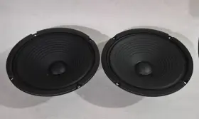 Roland W0804-045a Raw Speaker Designed For Instrument Amplifiers Set Of 2-8 Inch