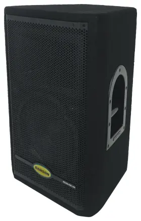 Sars10hd Samson Rs10hd 10 Inch 2-way 300 Watt Wooden Passive Pa Speaker W. Titanium Tweeter