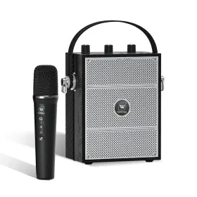 Sq98-pro Sanmic Wireless Voice Amplifier With Handheld Microphone Portable Bluetooth Speaker