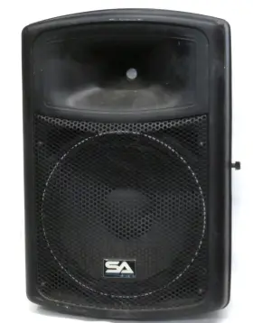 Pws-15 Seismic Audio Local Pickup Works Details Powered 600w Pa/dj Speaker