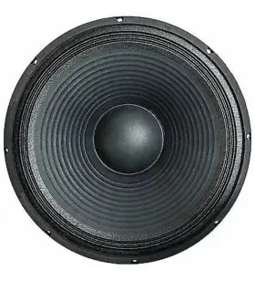 Quake-18 Seismic Audio 18 Inch Pa Raw Sub Woofer/speaker Loudspeaker
