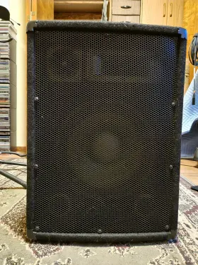 Sa-10 Seismic Audio Speaker Pair 10 Inch Sa-10 Seismic Audio Speaker Pair 10 Inch