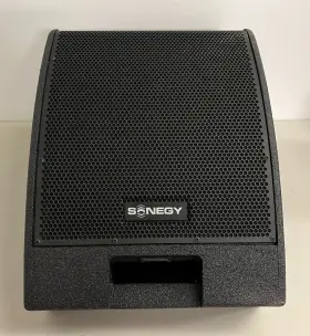 Xs12m Sonegy 12 Inch Two Way Passive Floor Monitor