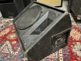 1285 Sunn 15 Inch Passive Floor Monitor Loaded With Ev Driver Bi Amp Capable