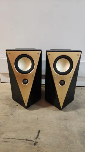 T-200a Swan Powered Monitors