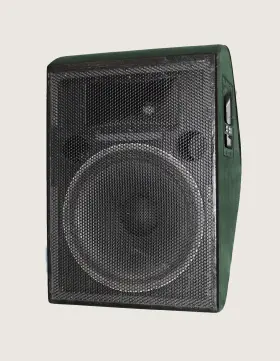 Vm-201 Vsi Stage Monitor With 15 Inch Woofer And 1 Tweeter