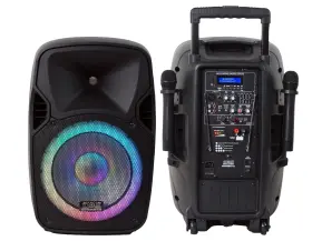 Usprobat12 Wm 12 Inch 3000w Bluetooth Portable Speaker With Rechargeable Battery