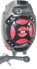 Emb Model PK8 800W Bluetooth Home Audio Portable Speaker Works Used. Price: $50.00.