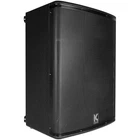 Kustom KPX15 Passive Monitor Cabinet Refurbished Excellent. Price: $175.99.