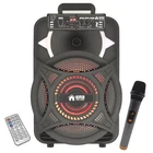 Emb PKL12BT 1000W 12" Trolley Speaker With Aux, Lights, Fm, Usb Bluetooth New. Price: $79.99.