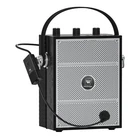 Sanmic Bluetooth 5.3 Voice Amplifier With Wireless Microphone Headset,persona... New. Price: $224.09.
